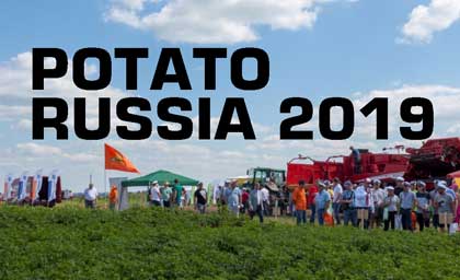 Potato Russia 2019