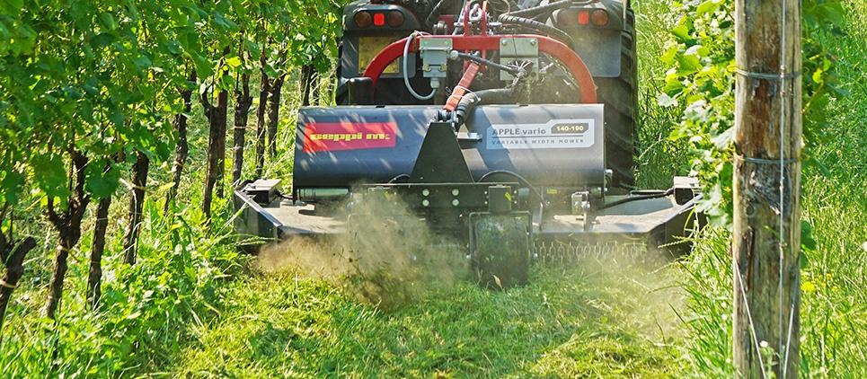 SEPPI Kreiselmulchgeräte eignen sich besonders für das Mulchen von Gras in Obst- und Weinanlagen