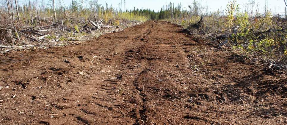 Le trinciatrici della linea WBS fh sono utili in agricoltura, gestione ambientale, manutenzione delle strade, pulizie dei pascoli e boschi