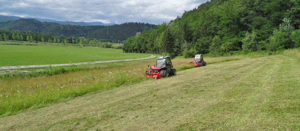 Trincia erba e ramaglia fino a 5 cm Ø