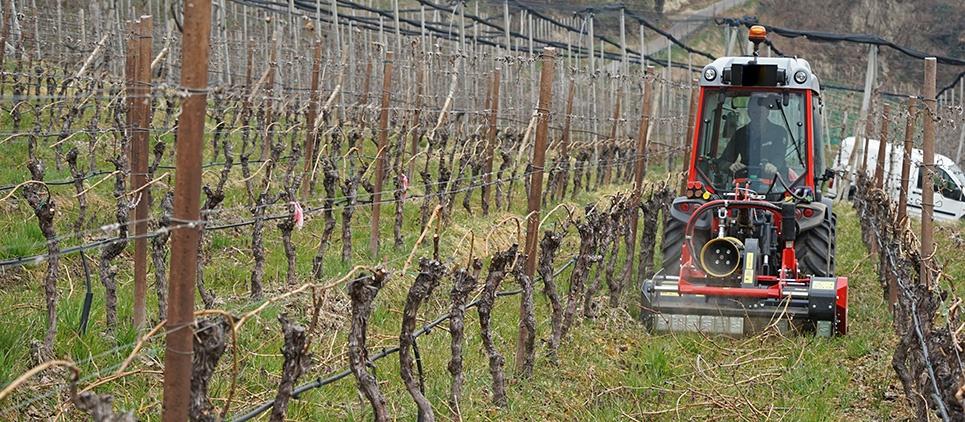 Ultra-schmal und niedrig gebaut Mulcht Gras und Reisig bis zu 5 cm Ø