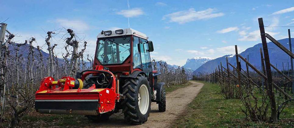 Among the most popular mulchers for orchards or vineyards